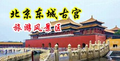 被大鸡巴日爽免费视频中国北京-东城古宫旅游风景区